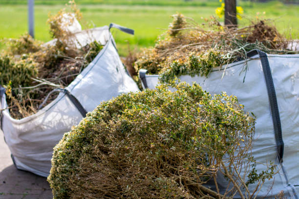 Best Trash Removal Near Me  in Vla Park, IL